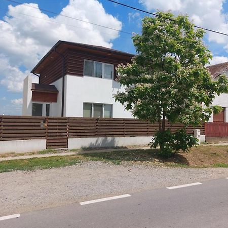 Vila Onix Săcueni Buitenkant foto